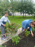 Урожаю быть!  В центре «Надежда» бурно кипит работа на грядках